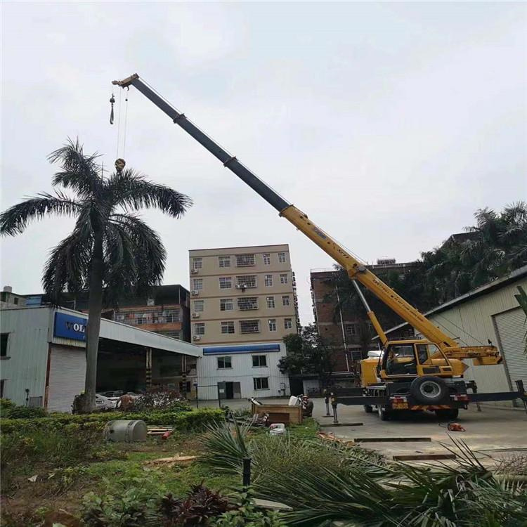 阳新汽车吊出租多少钱？全面解析与市场行情