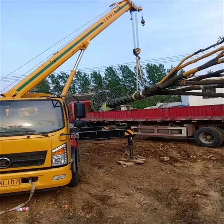 阳新100吨吊车租赁费用怎么算？3大关键因素+省钱技巧全解析